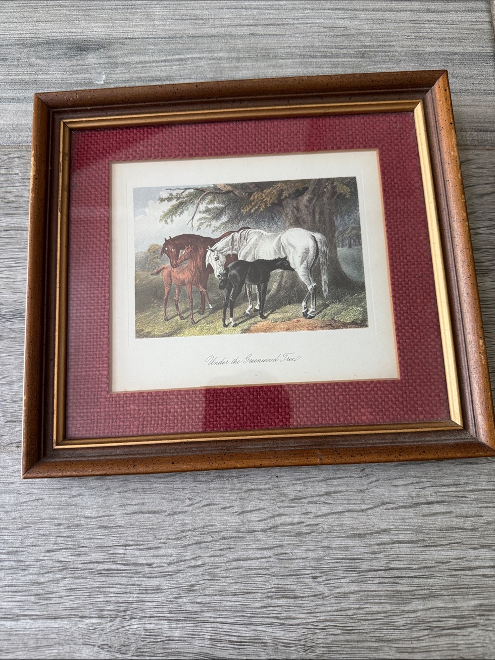 Framed Horse Print with Burgundy Mat and Wood Frame